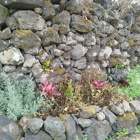 Bragada Stonehouse Feriehus São Roque do Pico