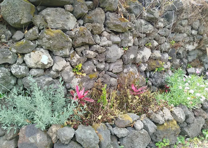 Bragada Stonehouse Holiday home Sao Roque do Pico